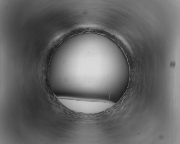 X0000103240967200808281029