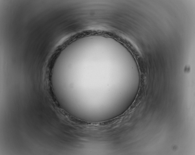 X0000103240968200808281029