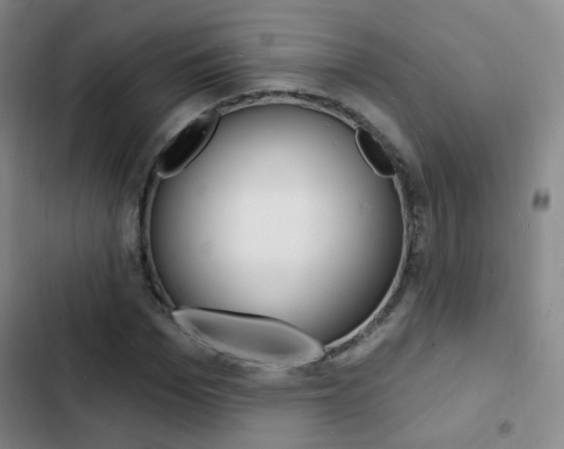 X0000103240969200808281029