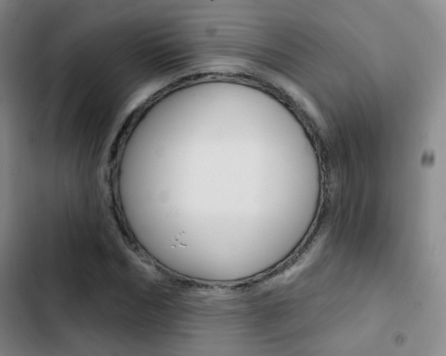 X0000103240970200808281029