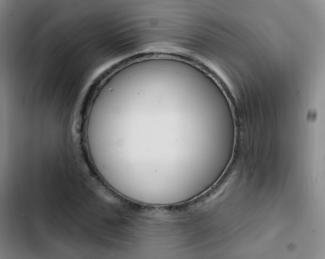 X0000103240971200808281029