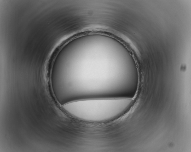 X0000103240973200808281029