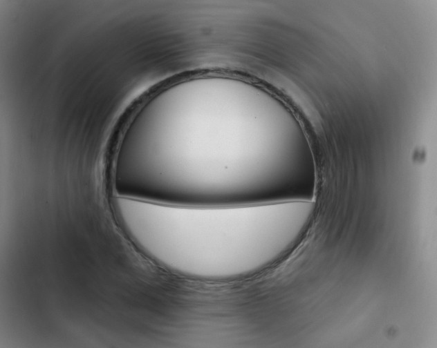 X0000103240975200808281029