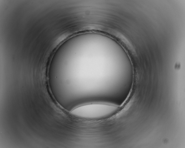X0000103240977200808281029