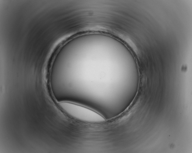 X0000103240979200808281029