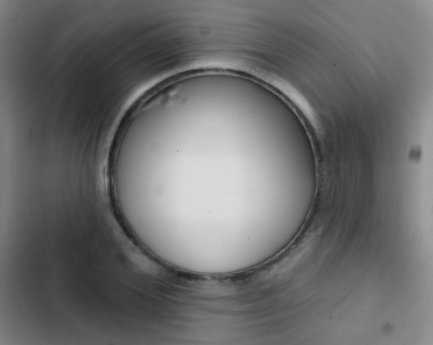 X0000103240980200808281029