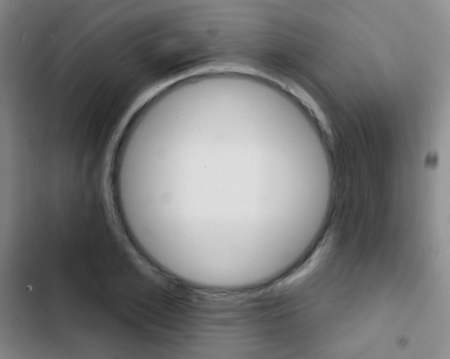 X0000103240981200808281029