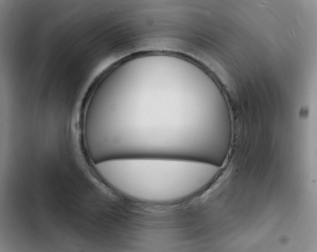 X0000103240982200808281029