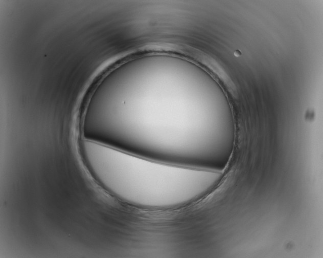 X0000103240984200808281029