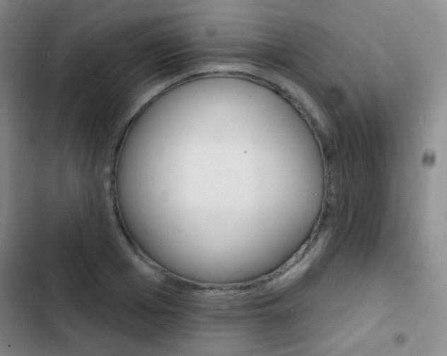 X0000103240985200808281029