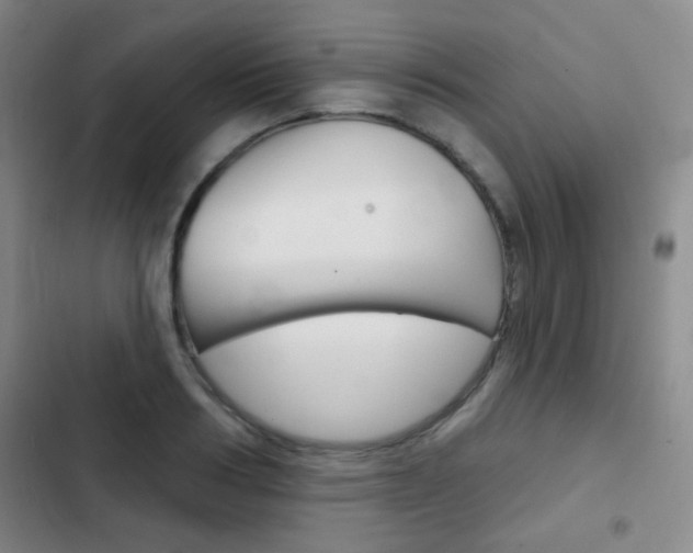 X0000103240986200808281029