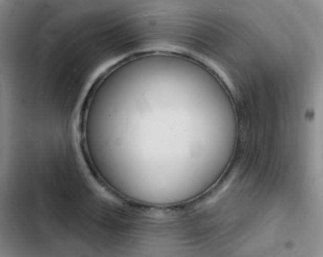 X0000103240987200808281029