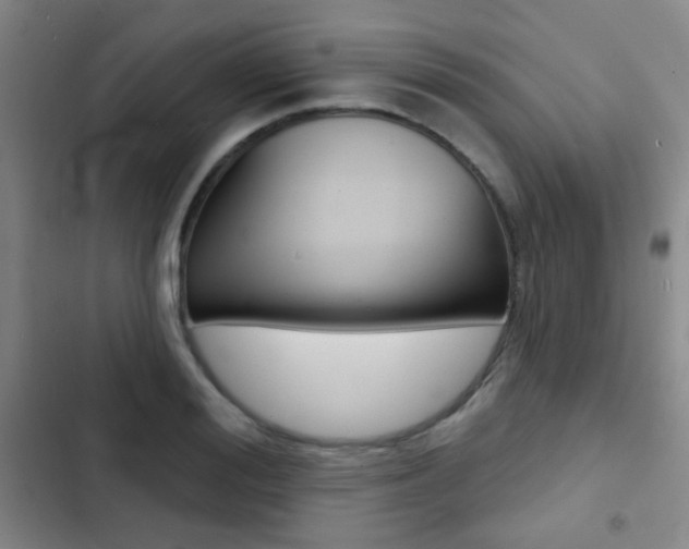 X0000103240988200808281029