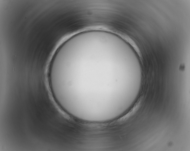 X0000103240989200808281029