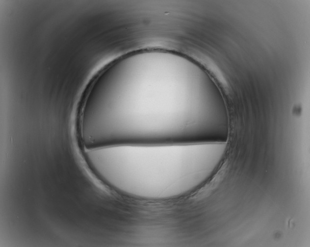 X0000103240991200808281029