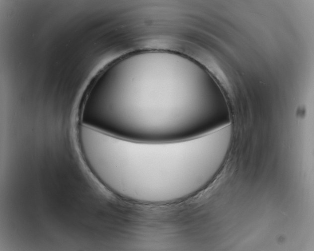 X0000103240992200808281029