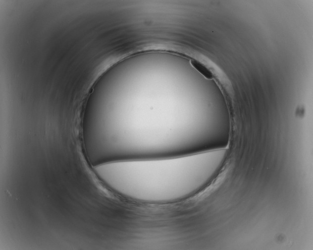 X0000103240993200808281029