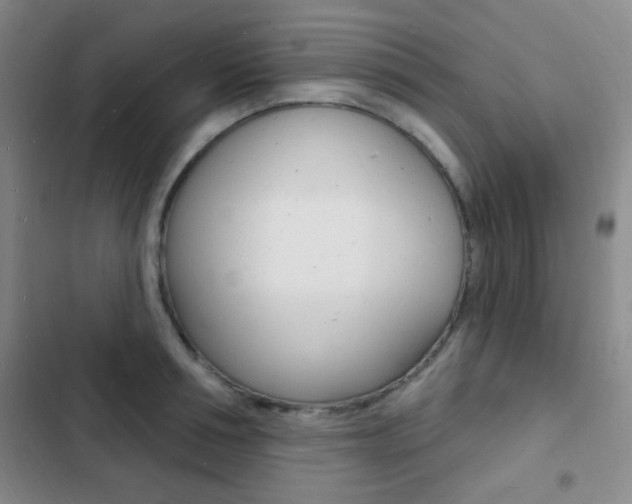 X0000103240994200808281029