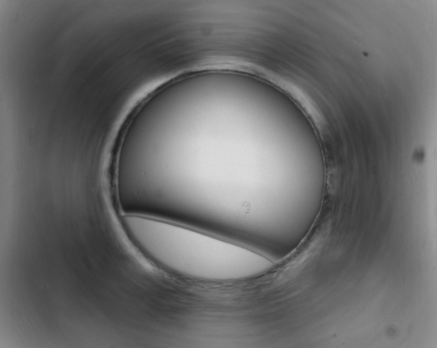 X0000103240995200808281029