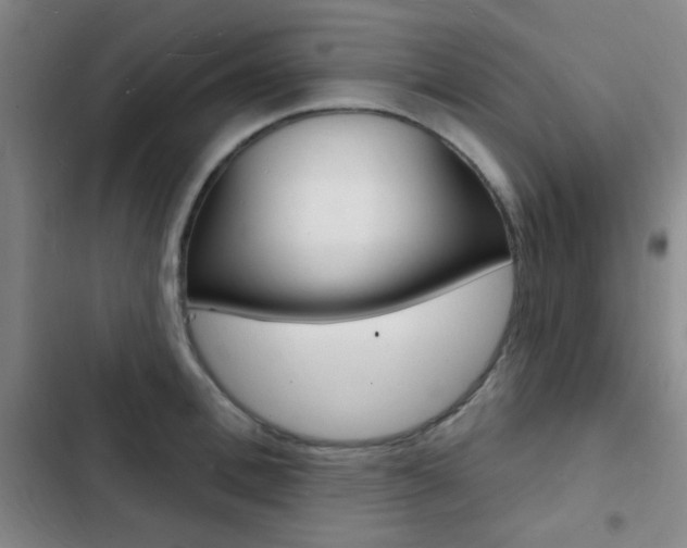 X0000103240996200808281029