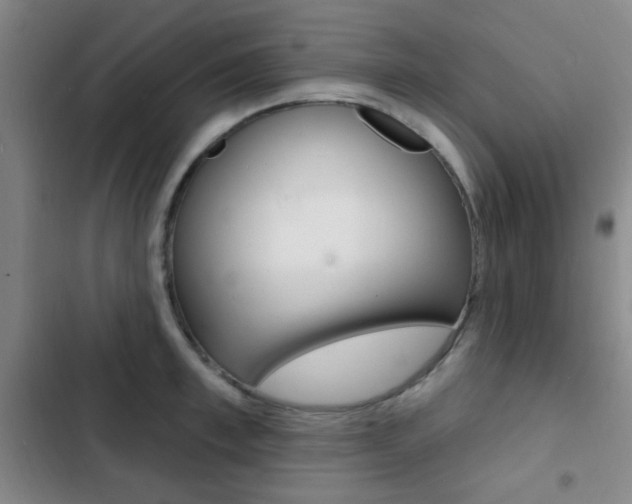 X0000103240997200808281029