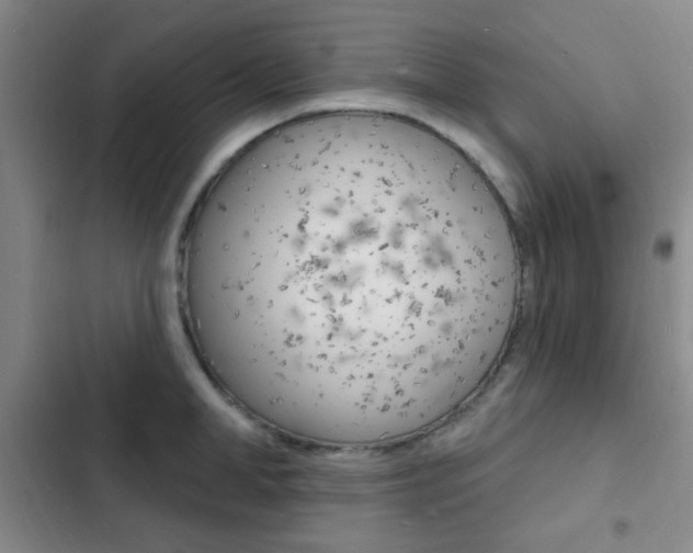 X0000103240998200808281029