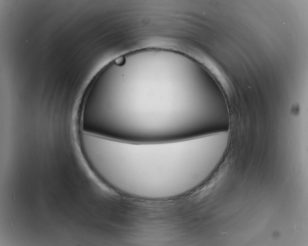 X0000103240999200808281029