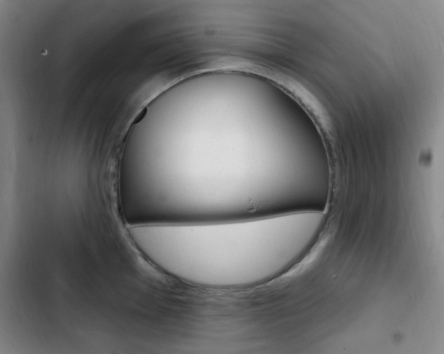X0000103241001200808281029