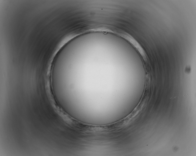 X0000103241002200808281029