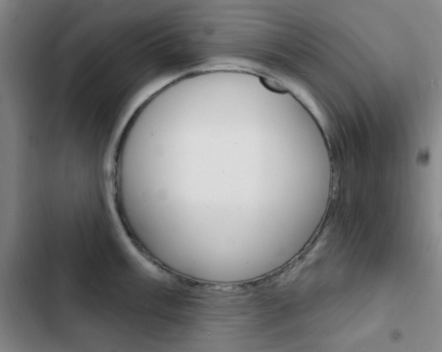 X0000103241003200808281029
