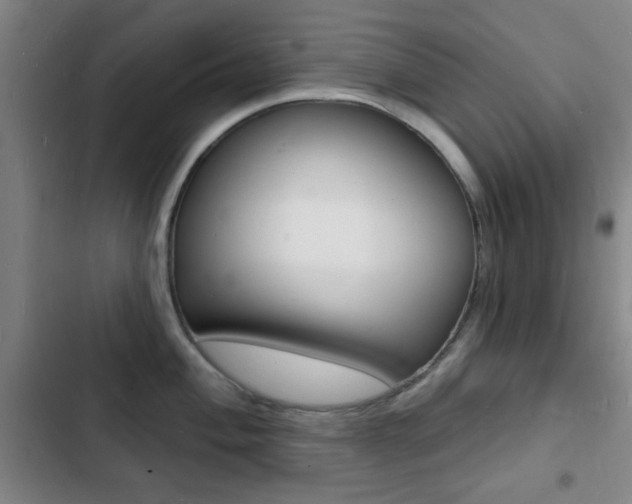 X0000103241004200808281029