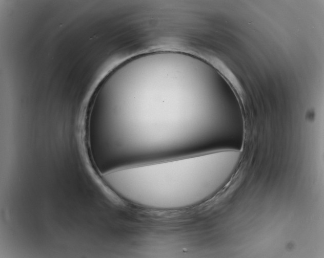 X0000103241005200808281029