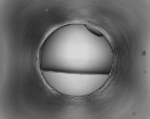 X0000103241006200808281029