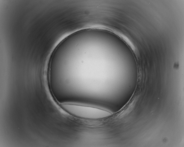 X0000103241007200808281029
