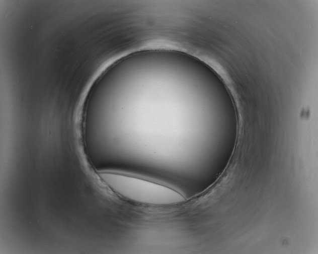 X0000103241008200808281029