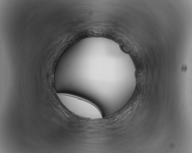 X0000103241009200808281028