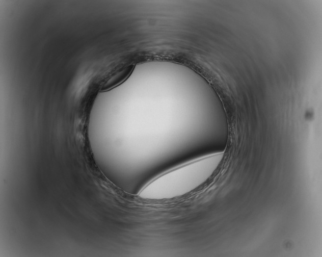 X0000103241010200808281028