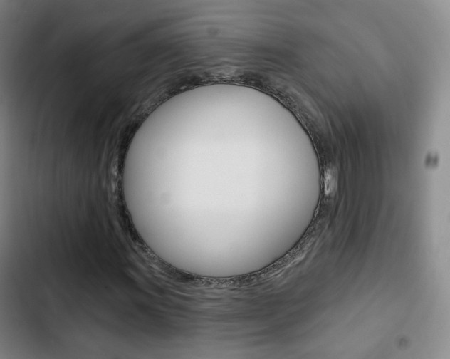 X0000103241011200808281028