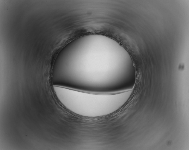 X0000103241012200808281028