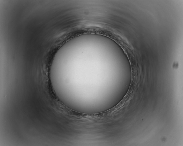 X0000103241013200808281028