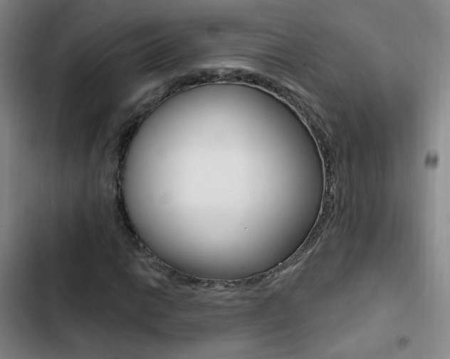 X0000103241014200808281028