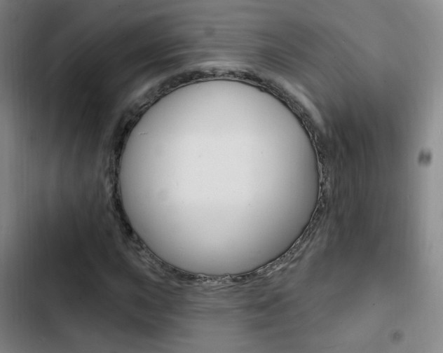 X0000103241015200808281028