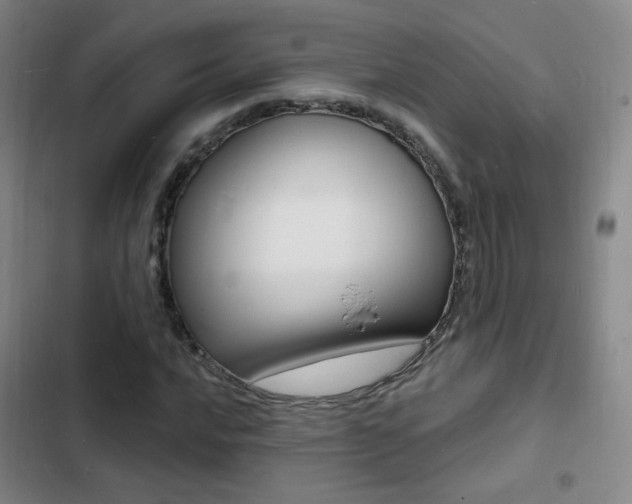 X0000103241016200808281028