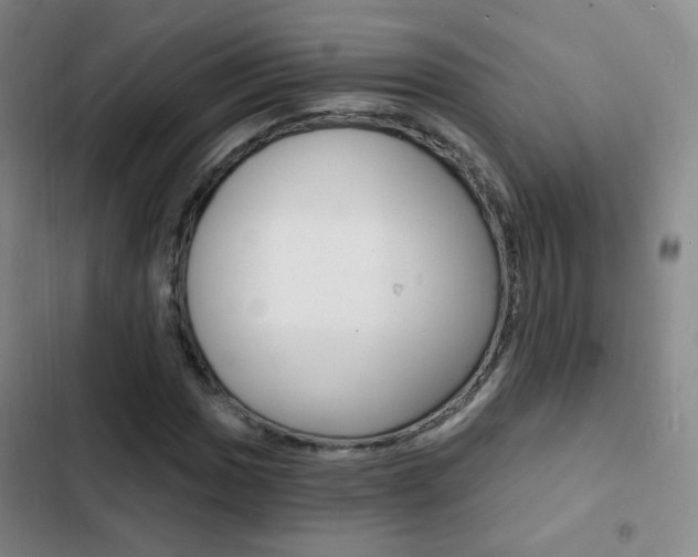 X0000103241017200808281028