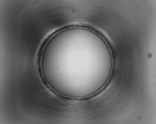 X0000103241018200808281028