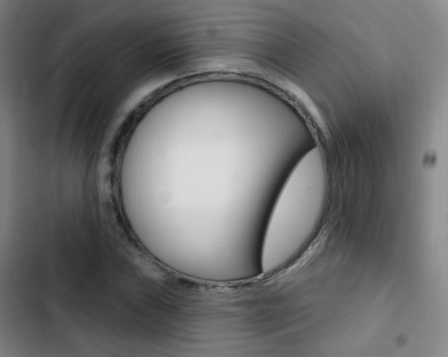 X0000103241019200808281028