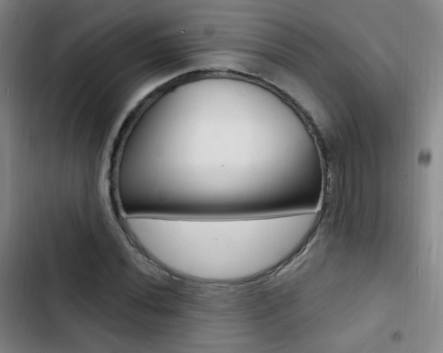 X0000103241020200808281028