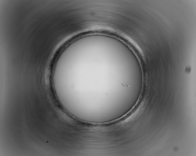 X0000103241021200808281028