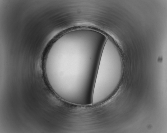 X0000103241022200808281028