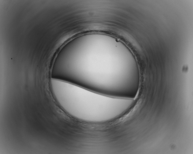 X0000103241025200808281028